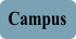 Ingresar al Campus virtual